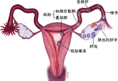 城南医院做输卵管全套检查仅需58元！